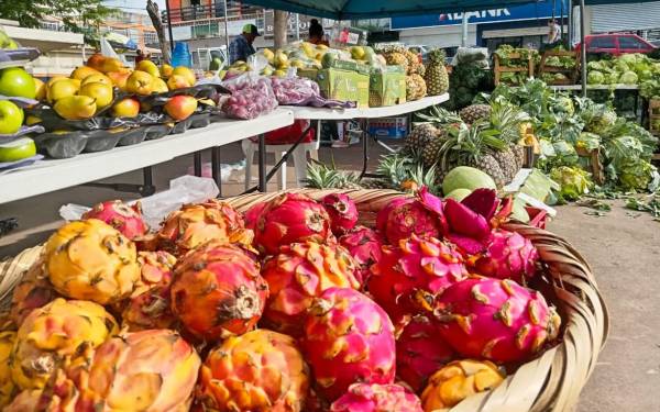 Los mercados organizados por el Gobierno de El Salvador acerca productos a precios accesibles. Foto del Ministerio de Agricultura.