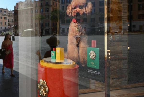 <i>Los transeúntes se reflejan en el escaparate de una boutique de la casa de moda de lujo Dolce &amp; Gabbana que exhibe su nuevo perfume para perros llamado 'Fefé' en el centro de Roma, el 8 de agosto de 2024. FOTO Alberto PIZZOLI / AFP</i>