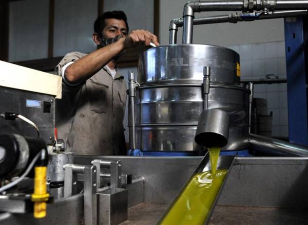 Un hombre trabaja con la máquina decantadora en Olivares Don Ignacio, donde se elabora aceite de oliva orgánico, en Rivadavia, provincia de Mendoza, Argentina, el 29 de abril de 2021. FOTO Andrés Larrovere / AFP