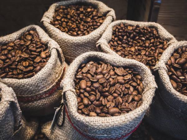 El café es el tercer principal producto de exportación de Nicaragua. Foto de iStock