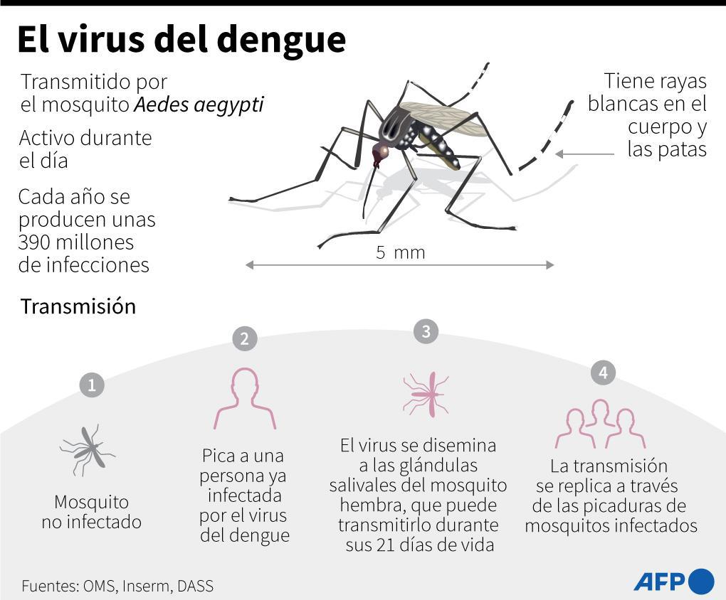 Honduras: casos de dengue grave se triplican